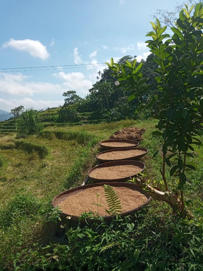 Vila Puluong Bamboo Huong Ba Thuoc Exteriér fotografie