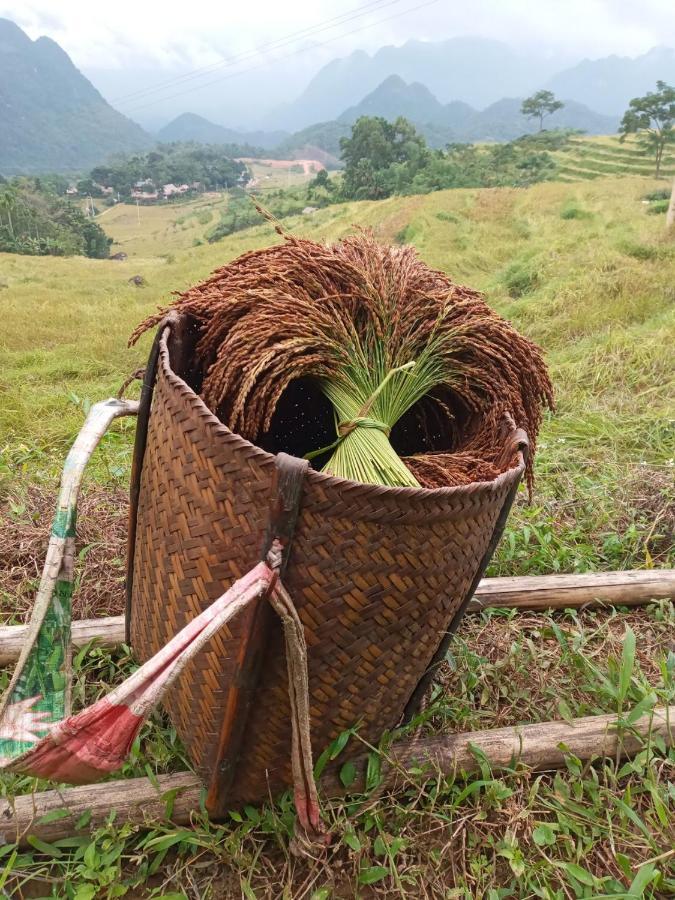 Vila Puluong Bamboo Huong Ba Thuoc Exteriér fotografie