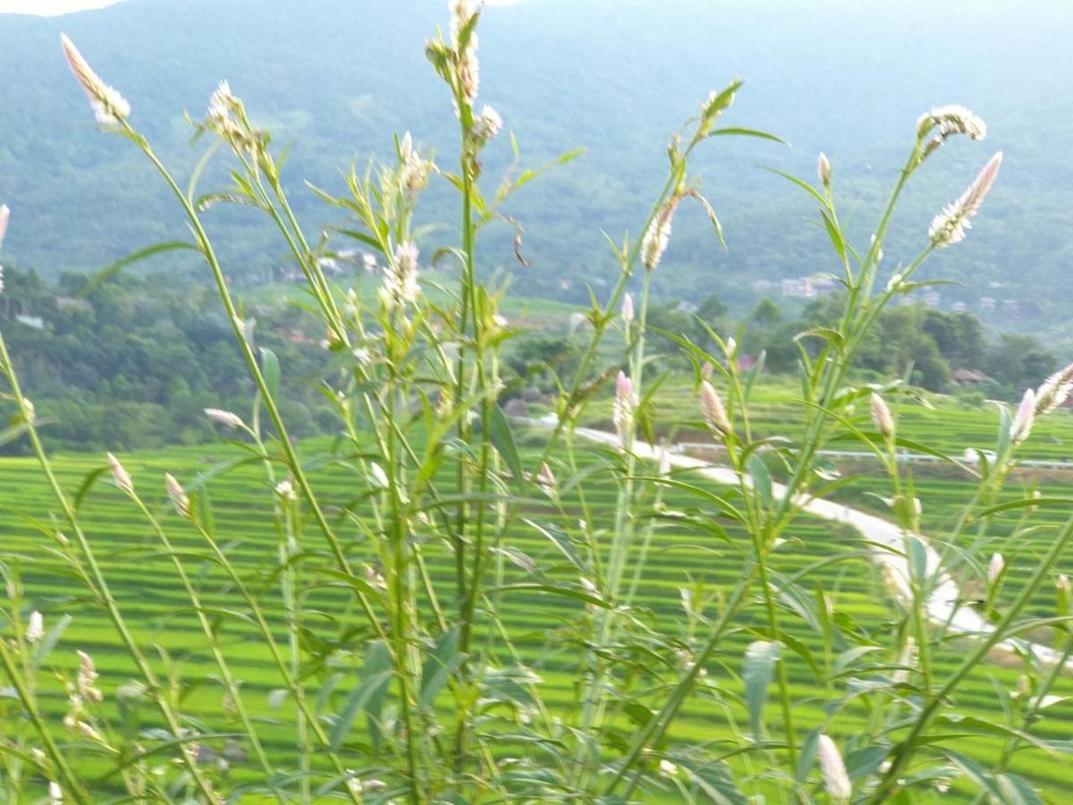 Vila Puluong Bamboo Huong Ba Thuoc Exteriér fotografie